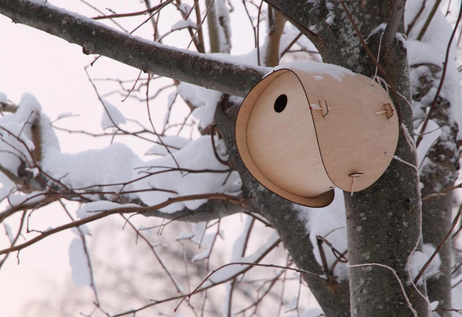 Flat Pack Bird House