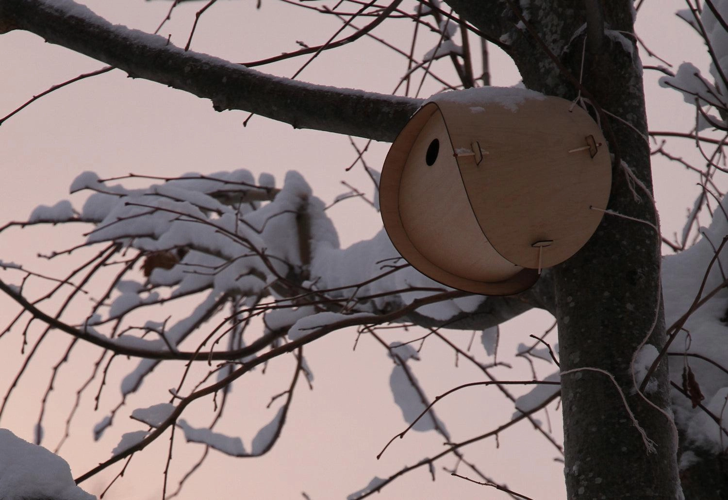 Flat Pack Bird House