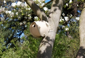 Flat Pack Bird HouseDurable outdoor patio accessories