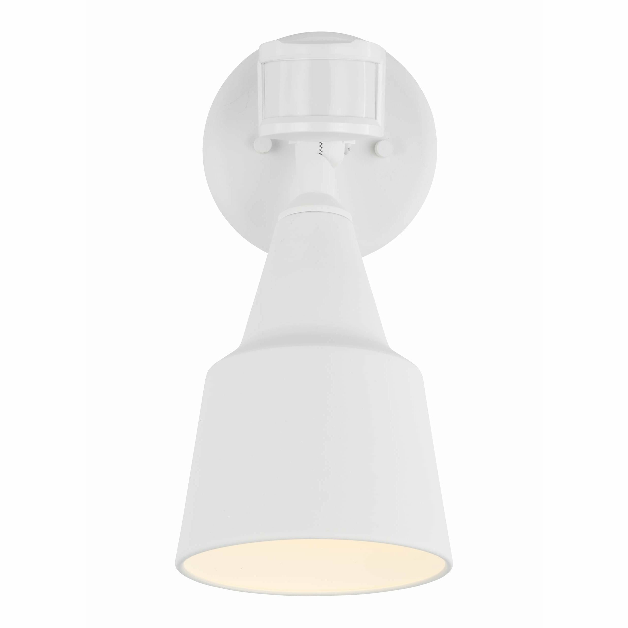 Flood Light 1-Light Outdoor Wall Light with Photo and Motion Sensor (with Bulb)