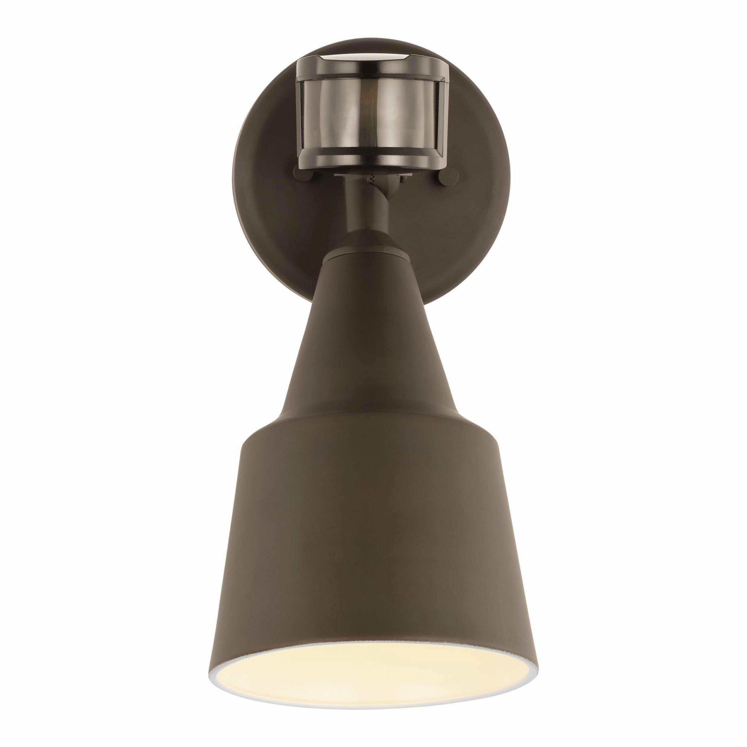 Flood Light 1-Light Outdoor Wall Light with Photo and Motion Sensor (with Bulb)