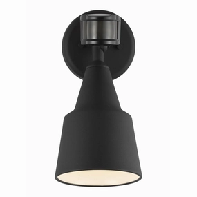Flood Light 1-Light Outdoor Wall Light with Photo and Motion Sensor (with Bulb)Weatherproof outdoor lighting