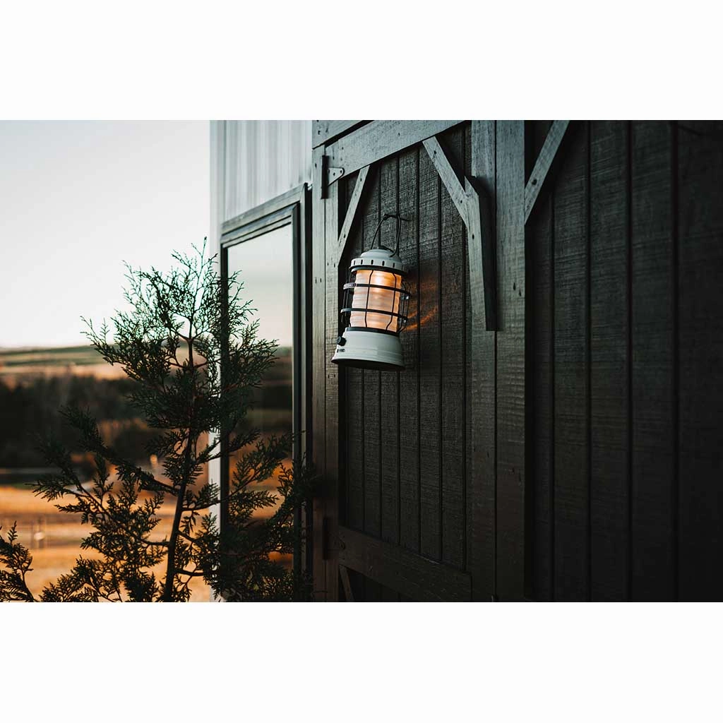 Forest Lantern