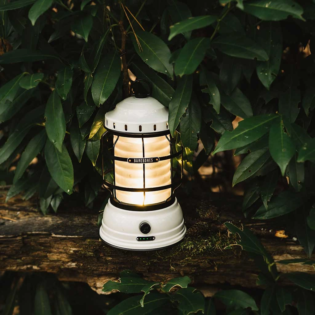 Forest Lantern