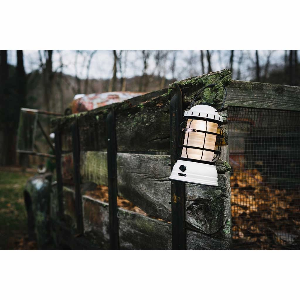 Forest Lantern