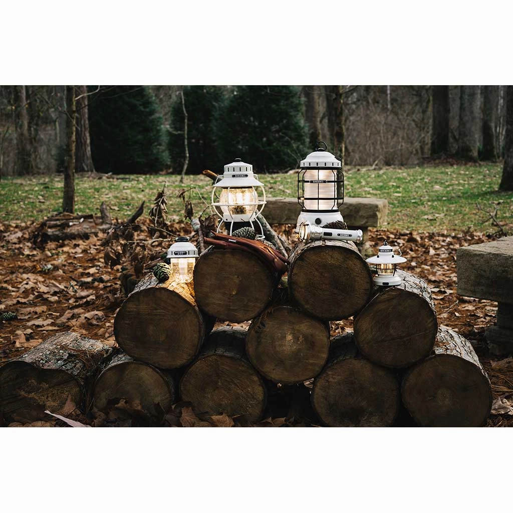 Forest Lantern