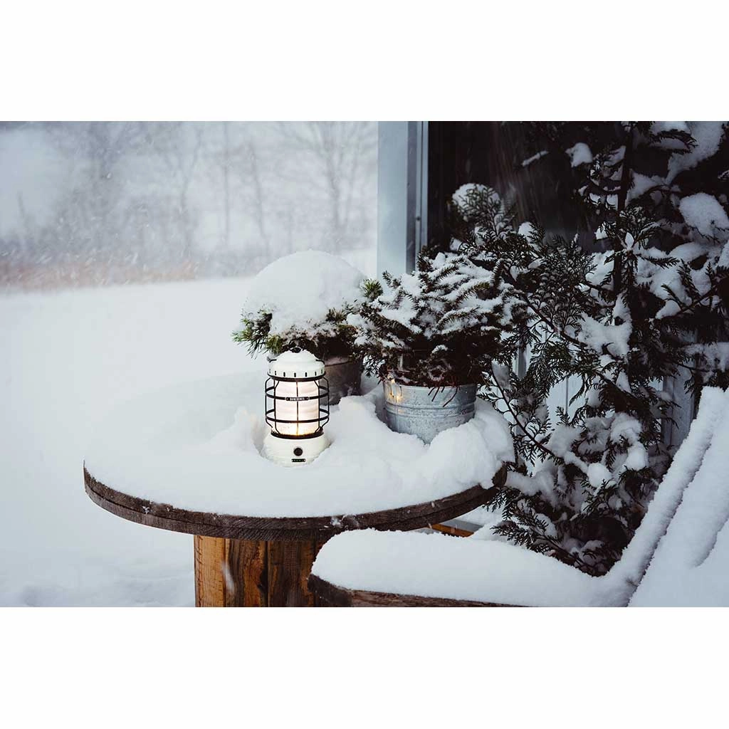Forest Lantern