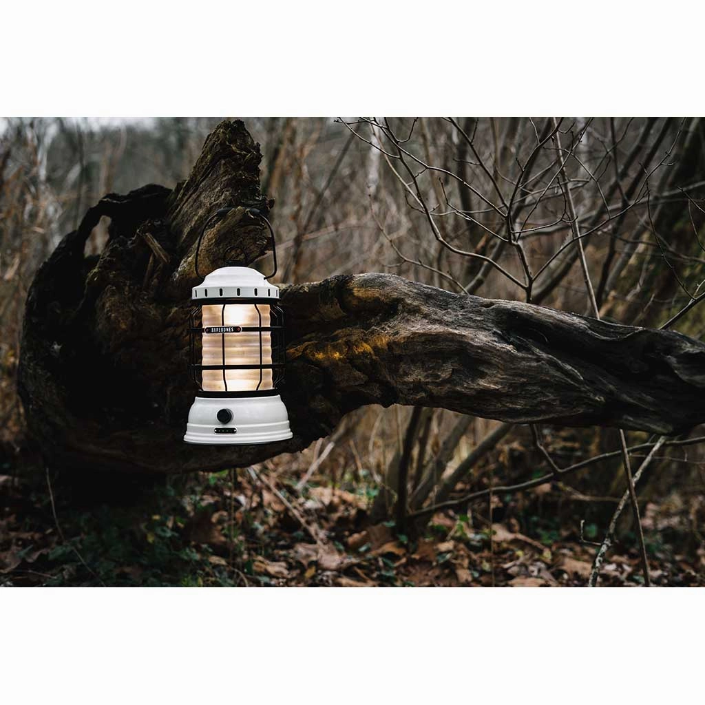 Forest Lantern