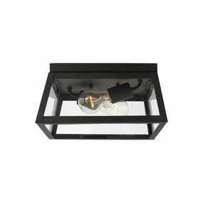 Founders 2-Light Outdoor Ceiling Light (with Bulbs)Weatherproof outdoor lighting