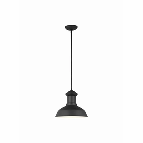 Fredricksburg 1-Light Outdoor PendantWeatherproof outdoor lighting