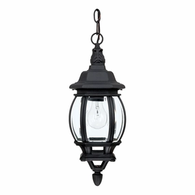 French Country 1-Light Outdoor Hanging LanternWeatherproof outdoor lighting