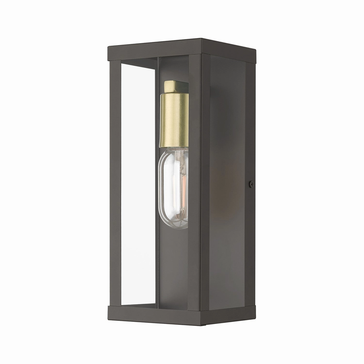Gaffney One Light Outdoor Wall Lantern Bronze with Antique Gold