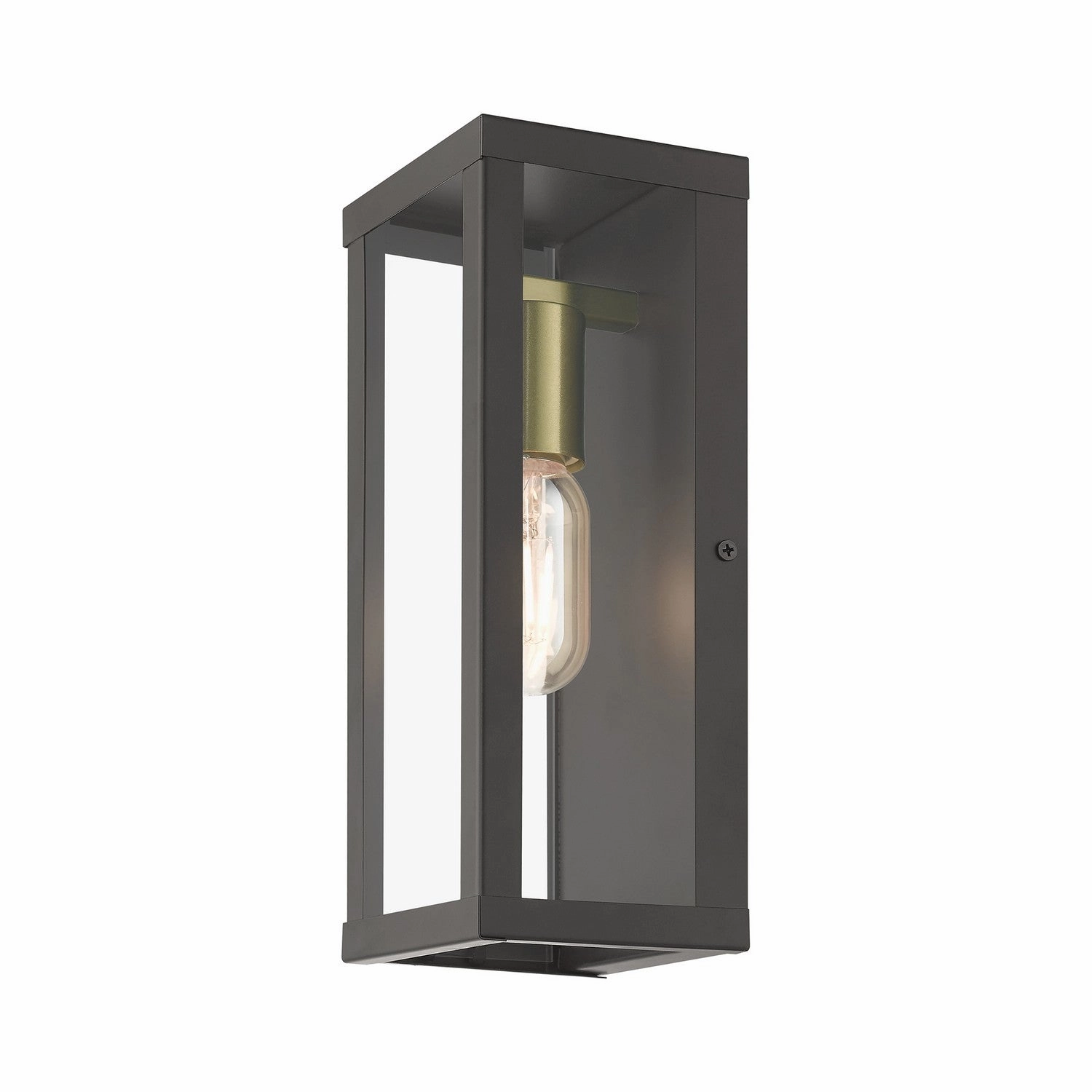 Gaffney One Light Outdoor Wall Lantern Bronze with Antique Gold