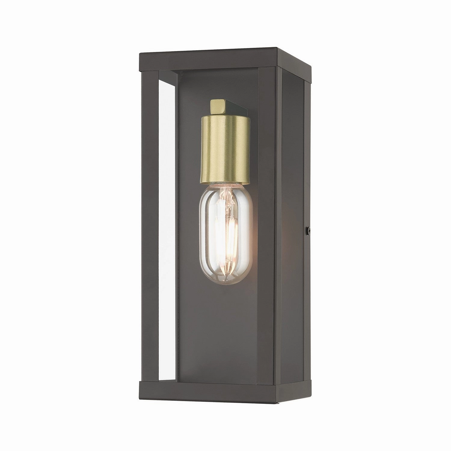 Gaffney One Light Outdoor Wall Lantern Bronze with Antique Gold
