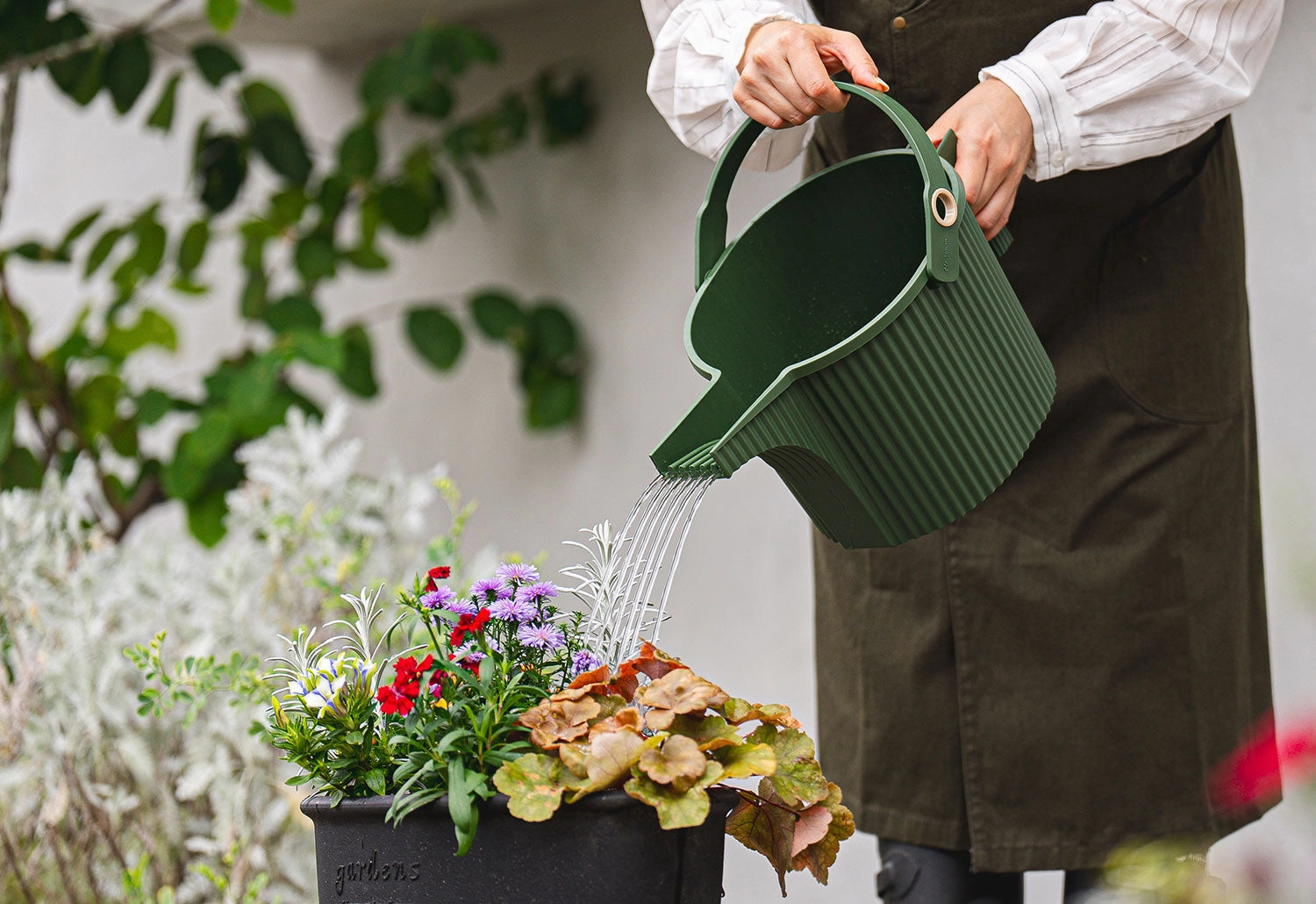 Garden Beetle Watering Can