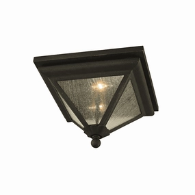 Geneva Outdoor Ceiling LightWeatherproof outdoor lighting