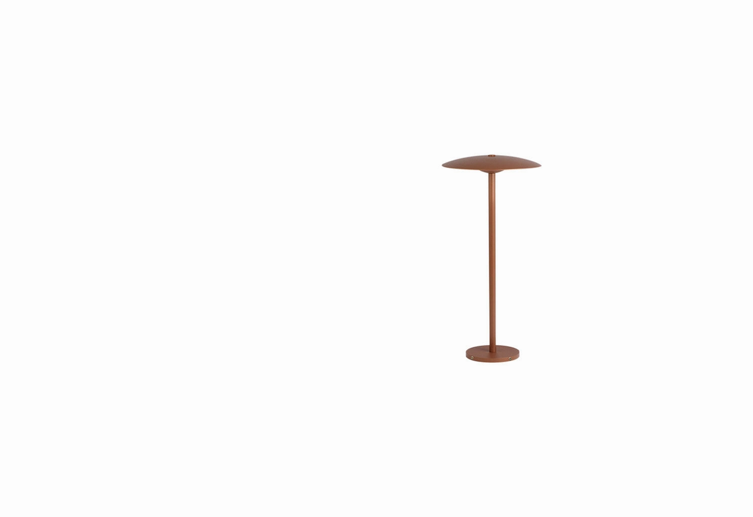 Ginger Bollard