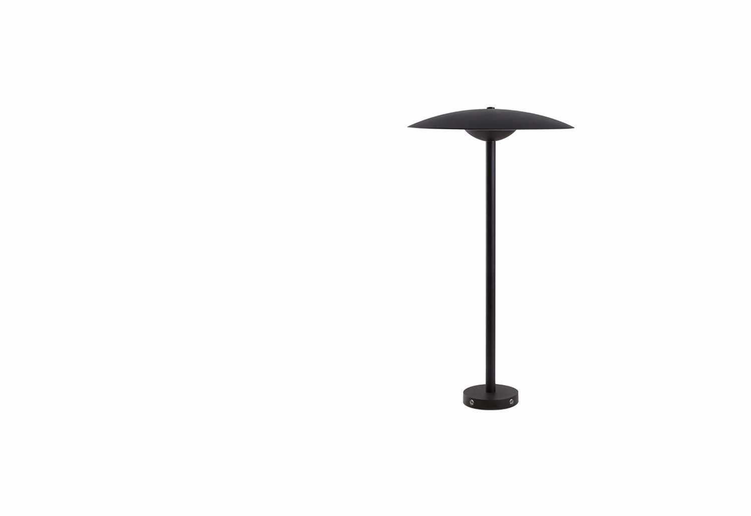 Ginger Bollard
