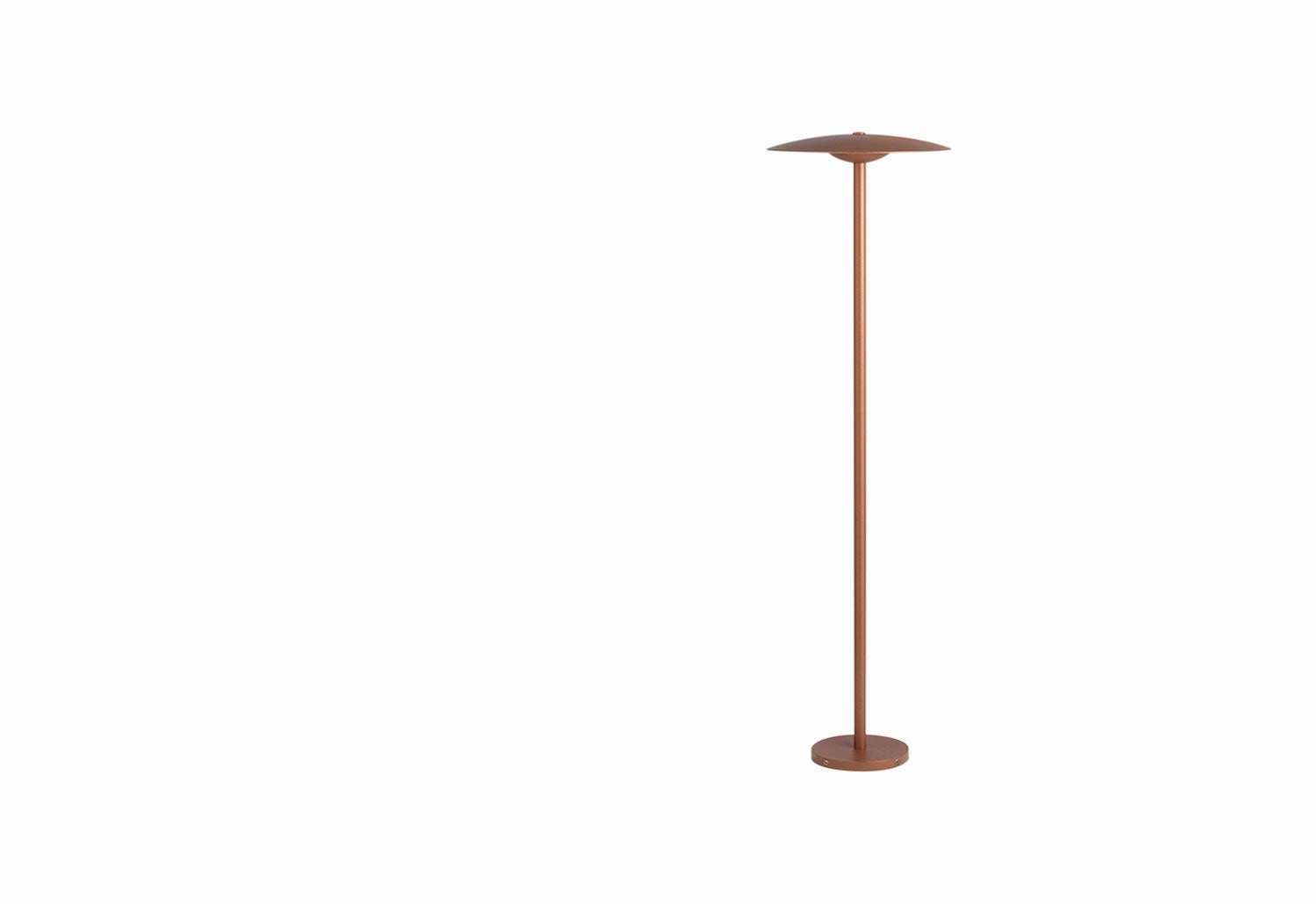 Ginger Bollard