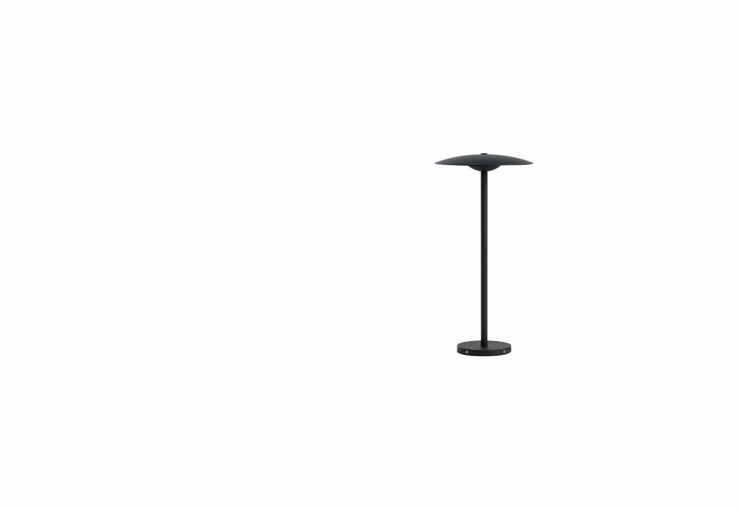 Ginger Bollard