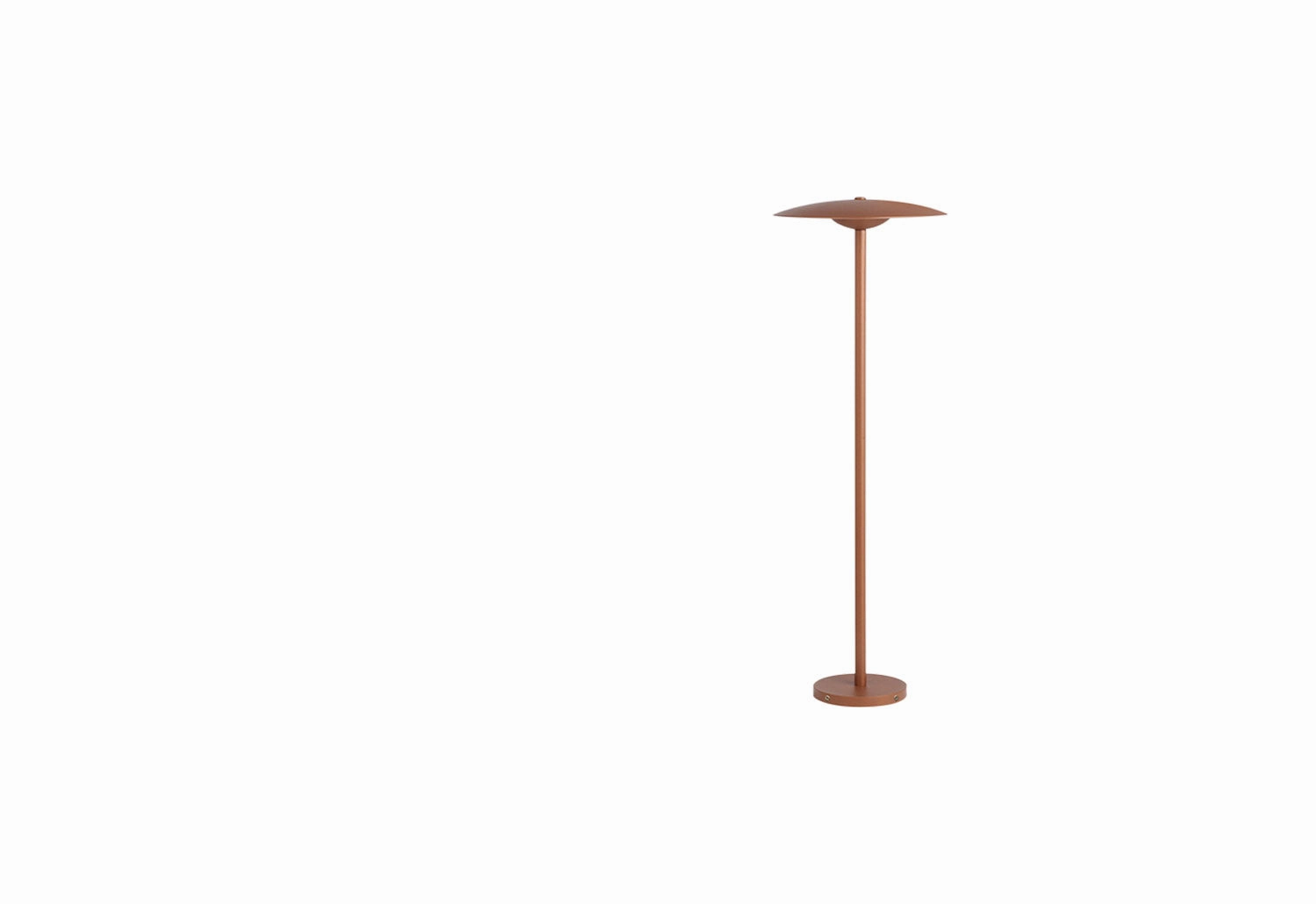 Ginger Bollard