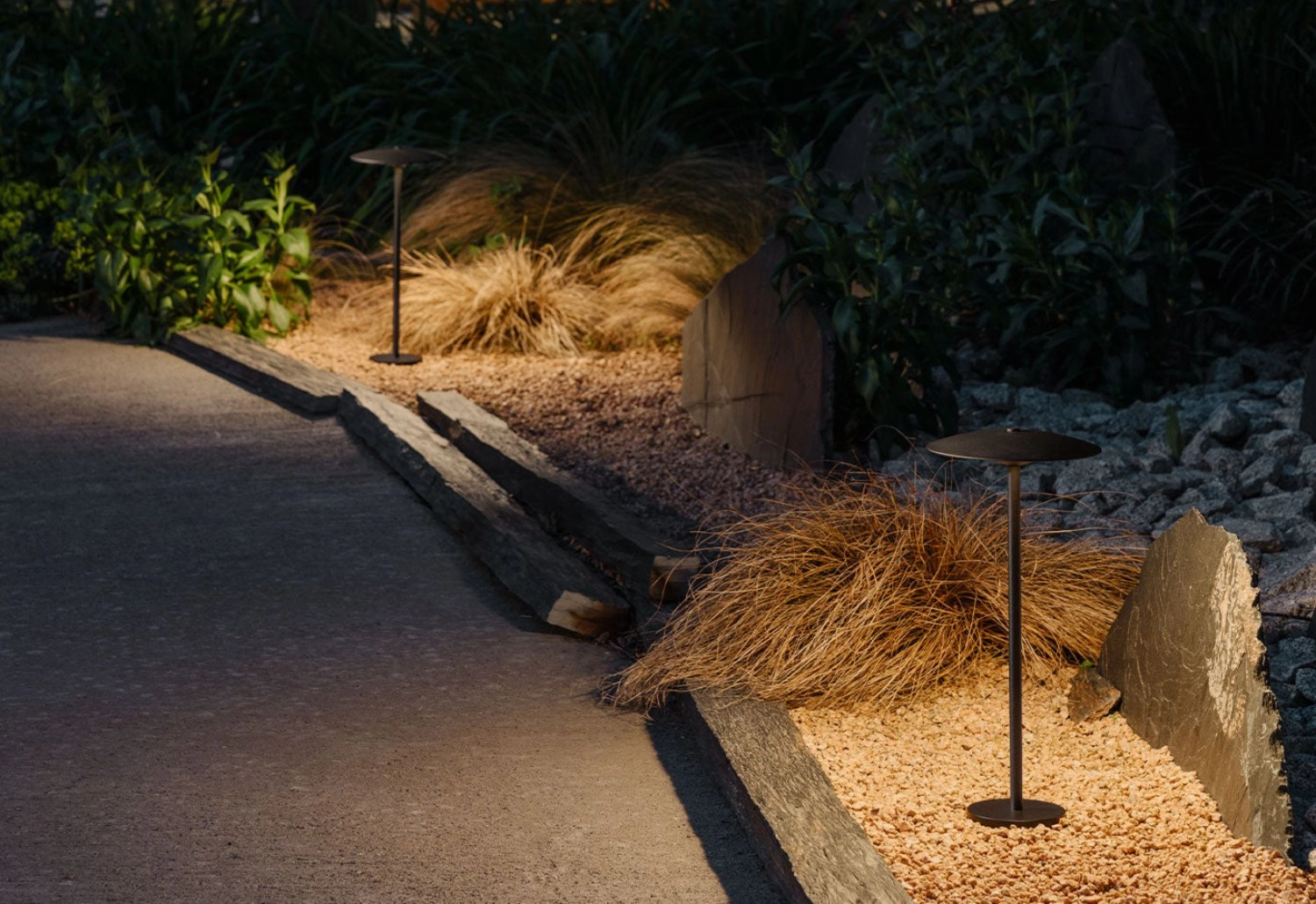 Ginger Bollard