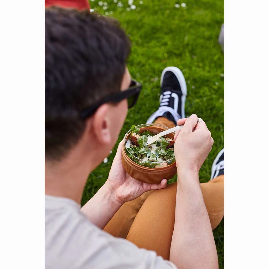 Glass Lunch Bowl