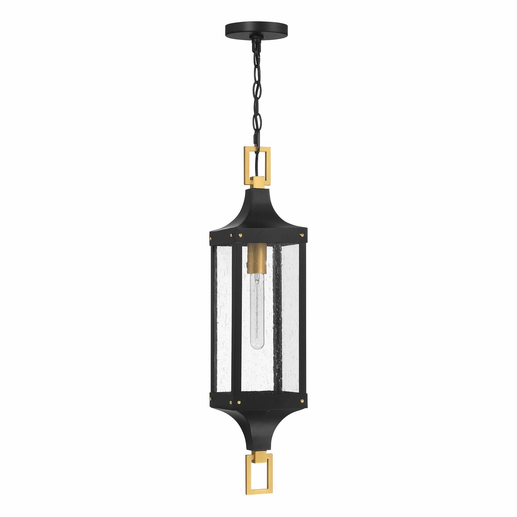 Glendale 1-Light Outdoor Hanging Lantern