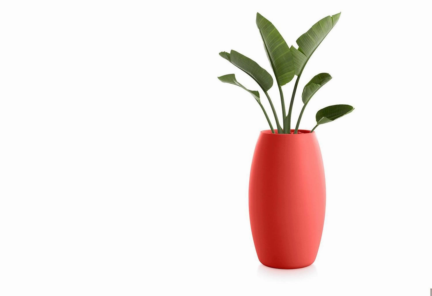Gobi Planter