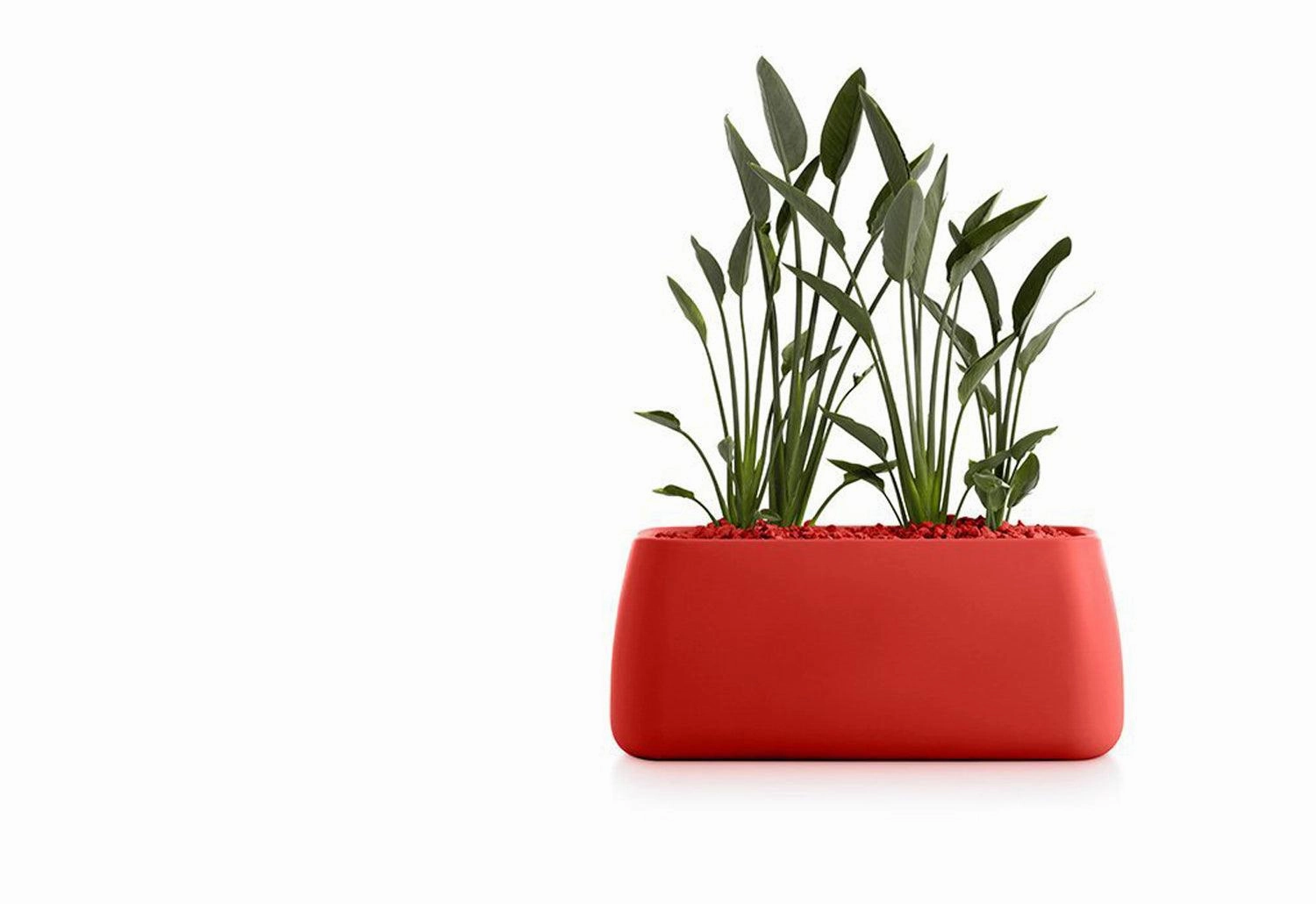 Gobi Planter