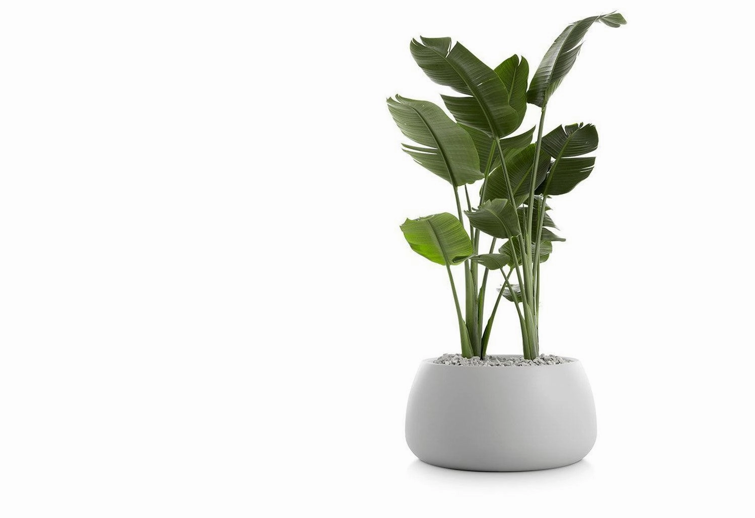 Gobi Planter