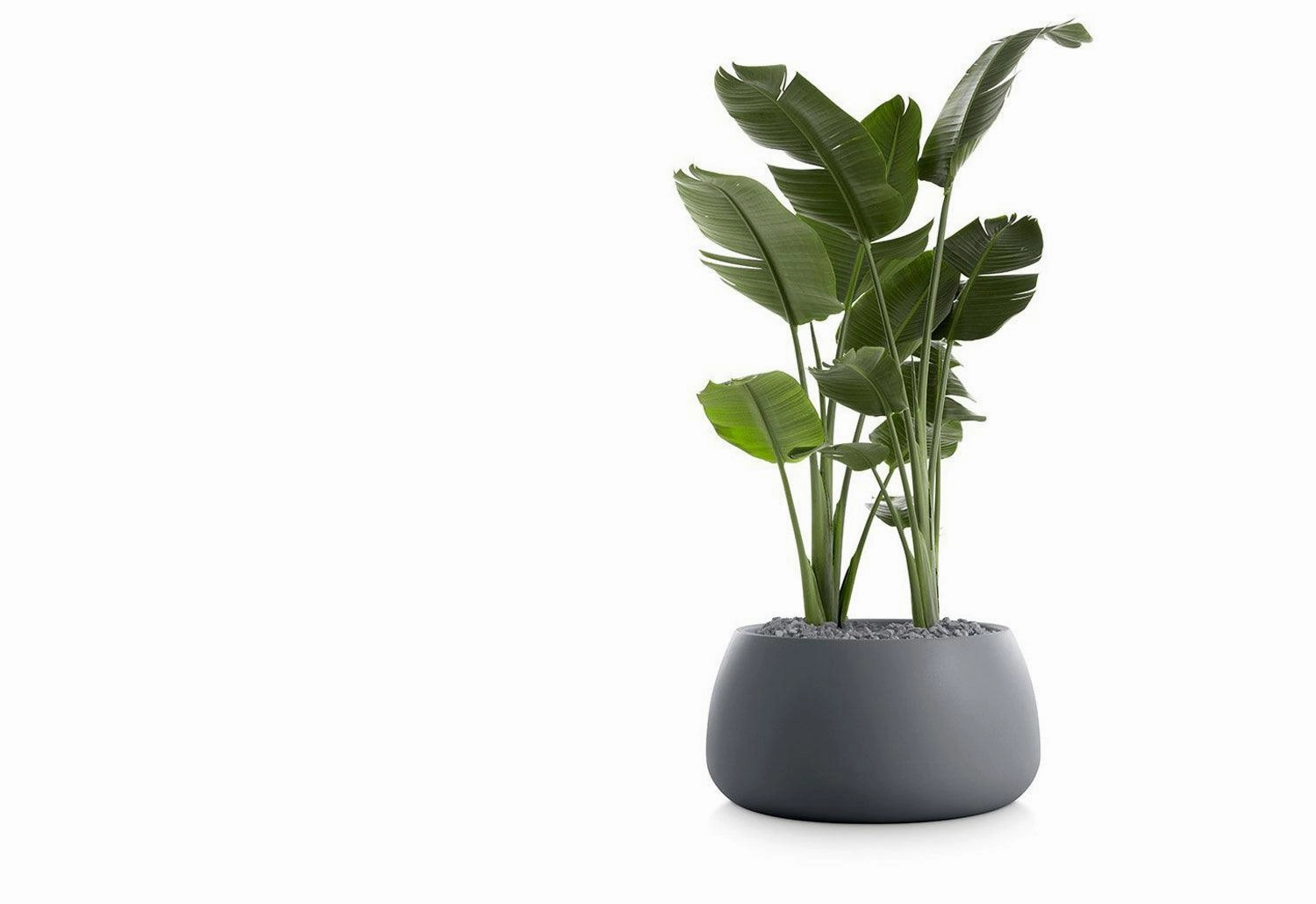 Gobi Planter