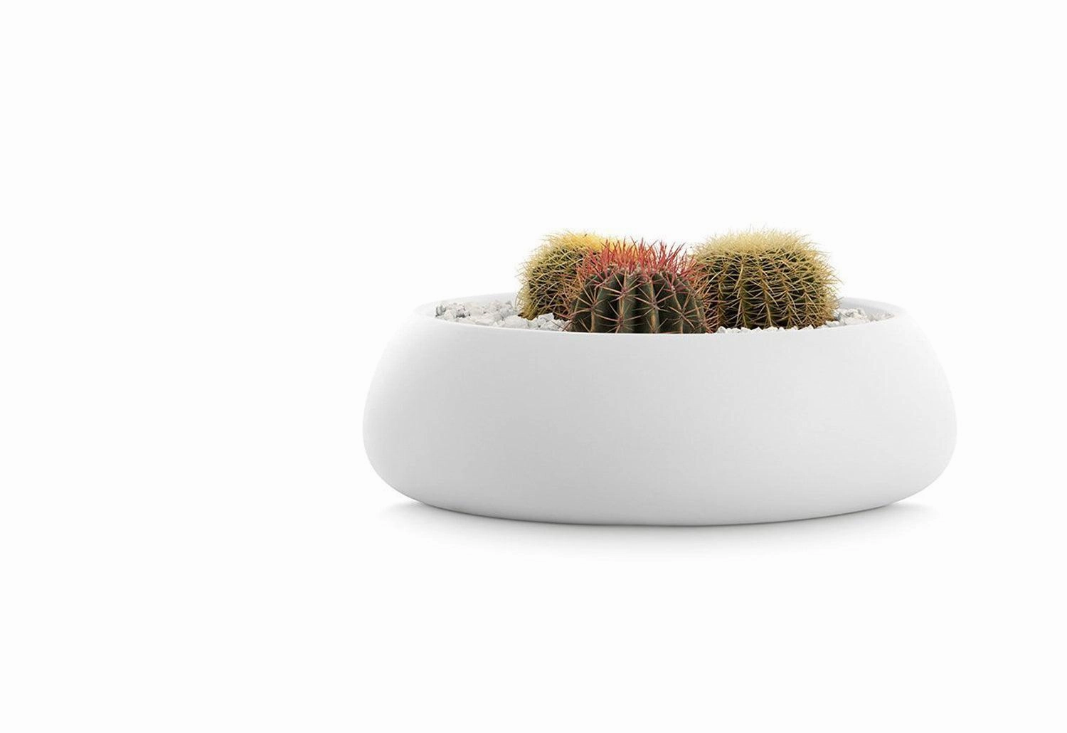 Gobi Planter
