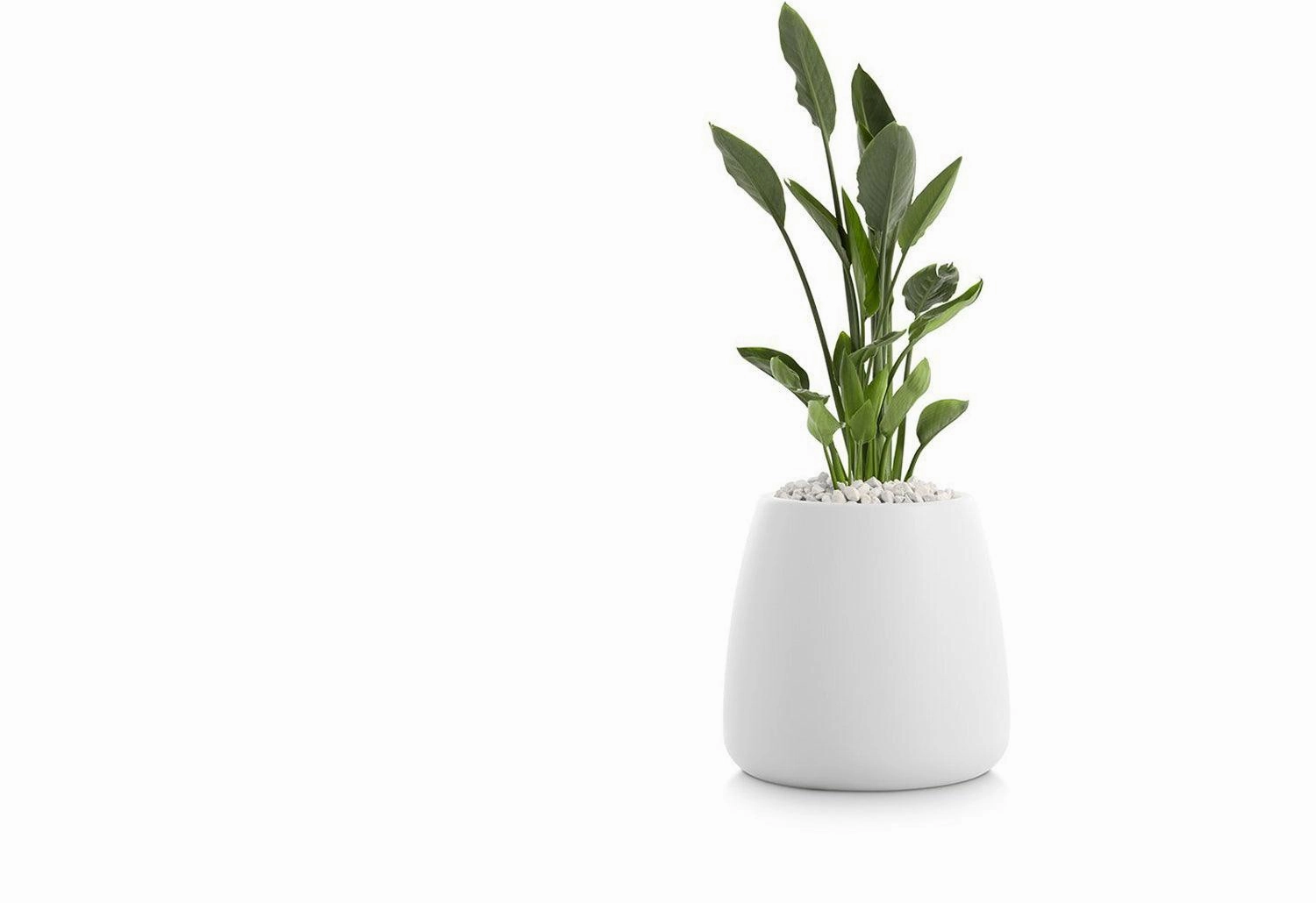 Gobi Planter