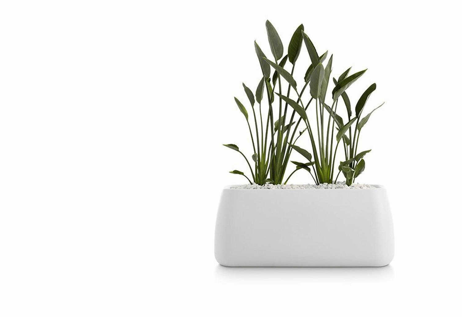 Gobi Planter