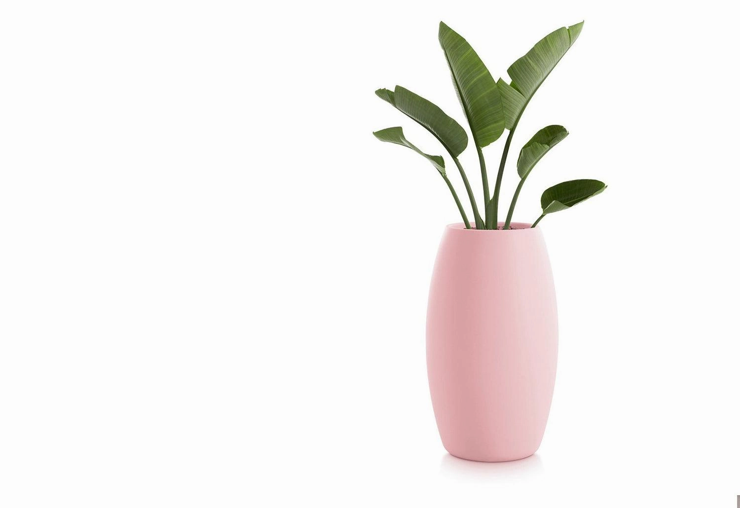 Gobi Planter