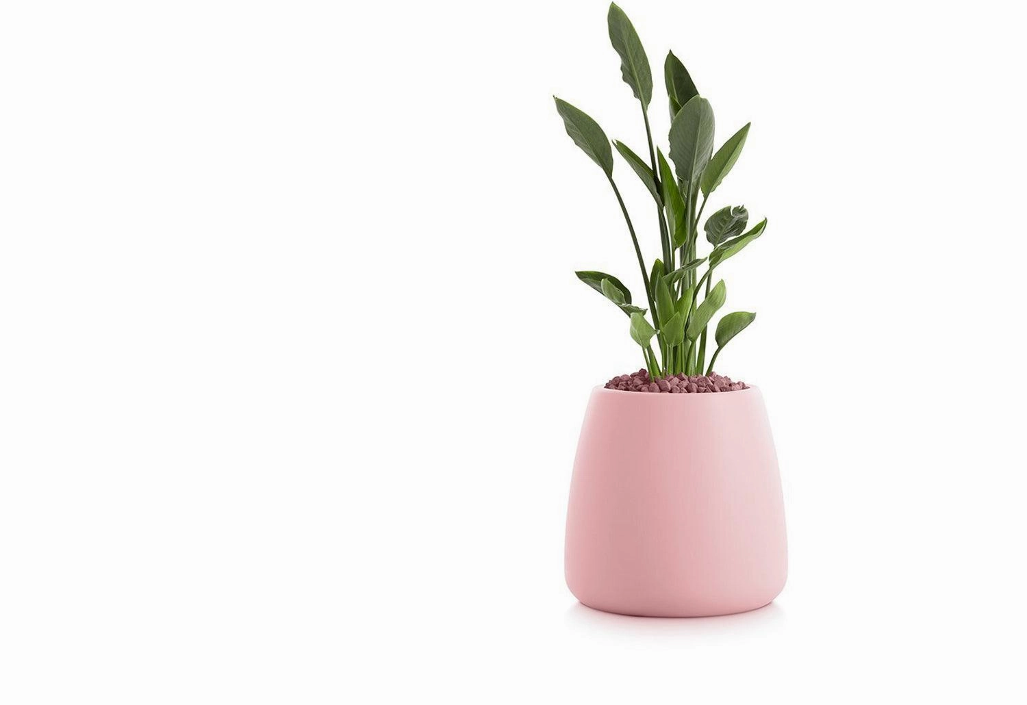 Gobi Planter