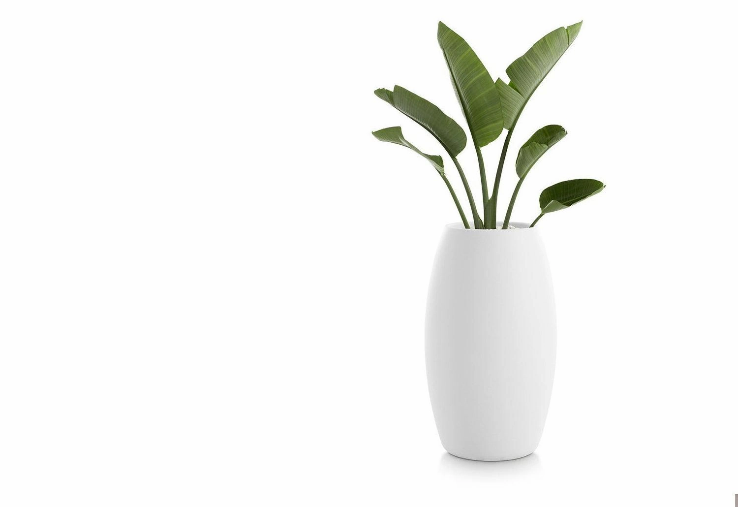 Gobi Planter