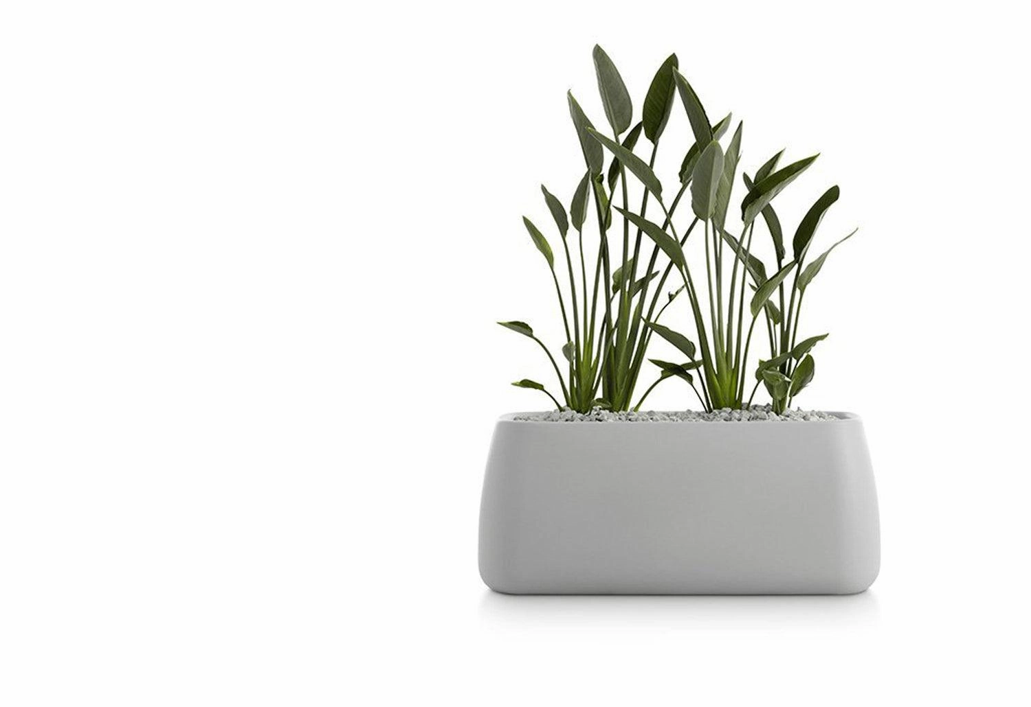Gobi Planter