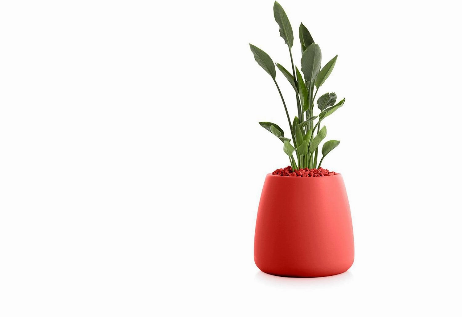 Gobi Planter