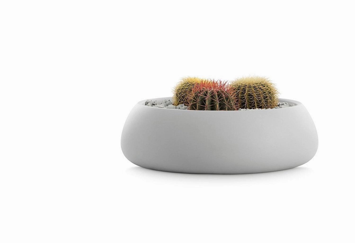 Gobi Planter