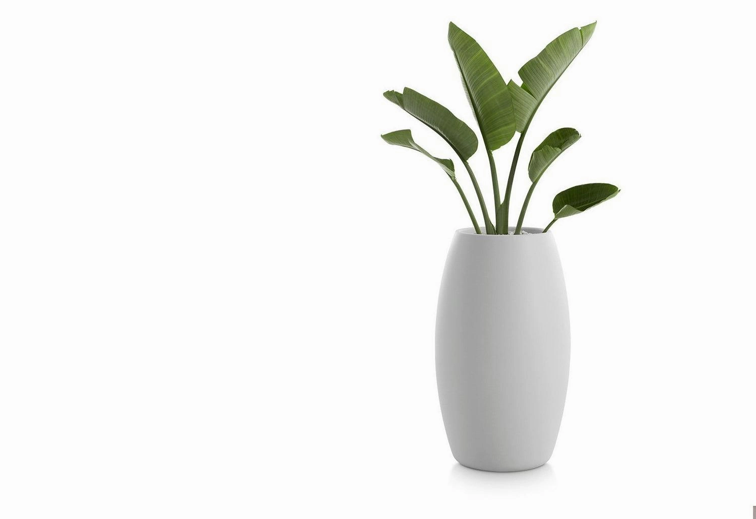 Gobi Planter