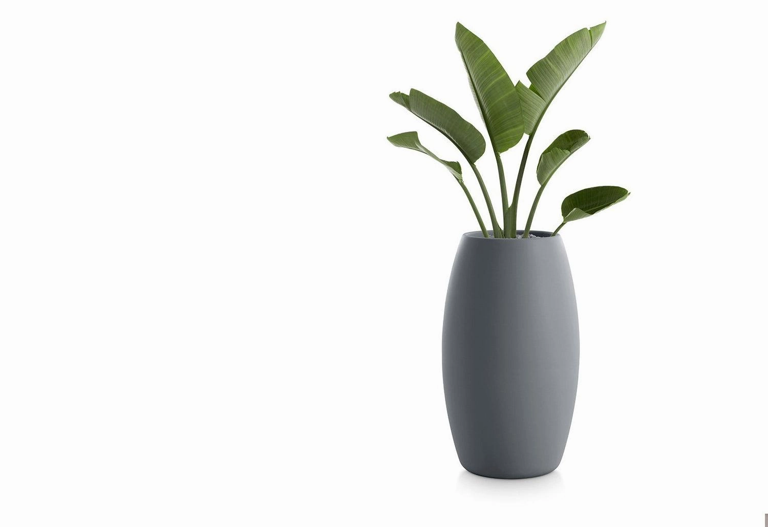 Gobi Planter