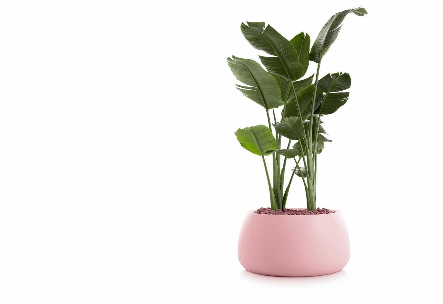 Gobi Planter