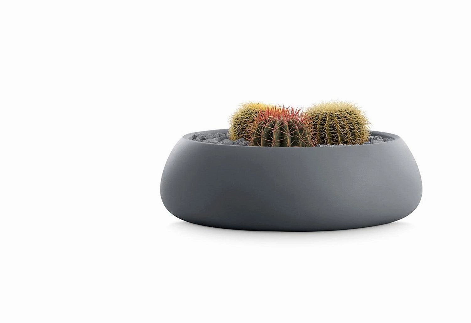 Gobi Planter