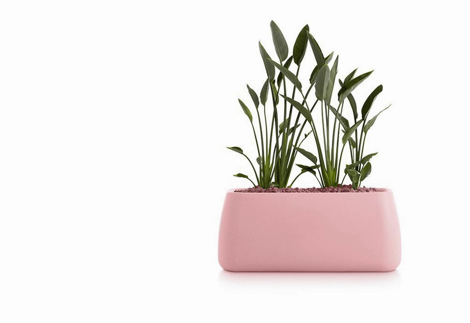 Gobi Planter