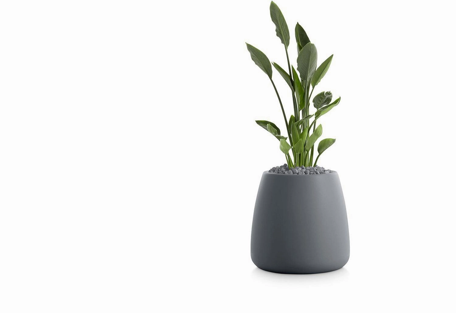 Gobi Planter