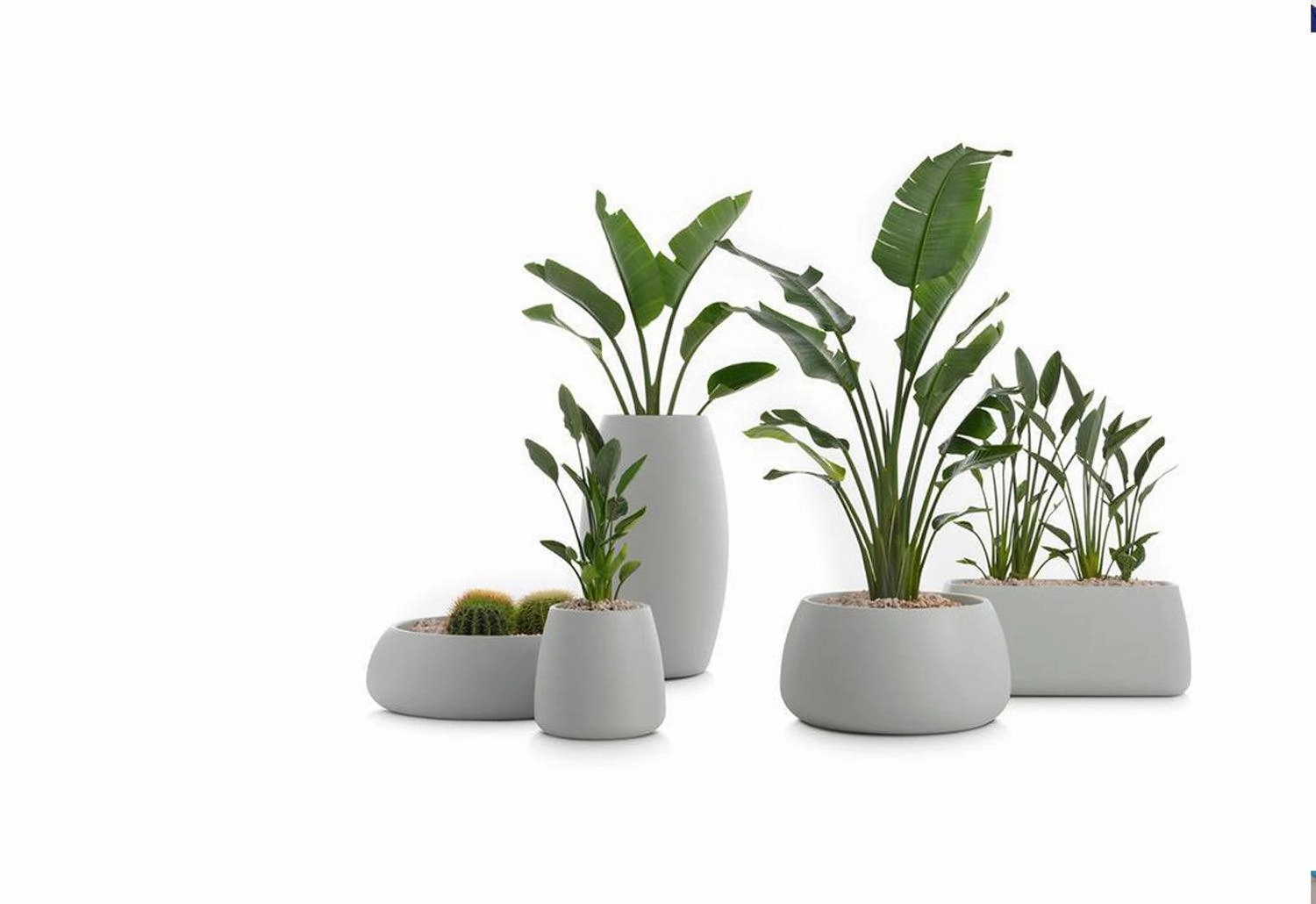 Gobi Planter