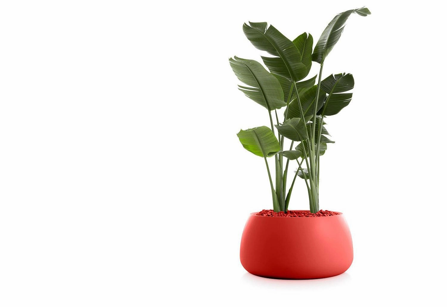 Gobi Planter