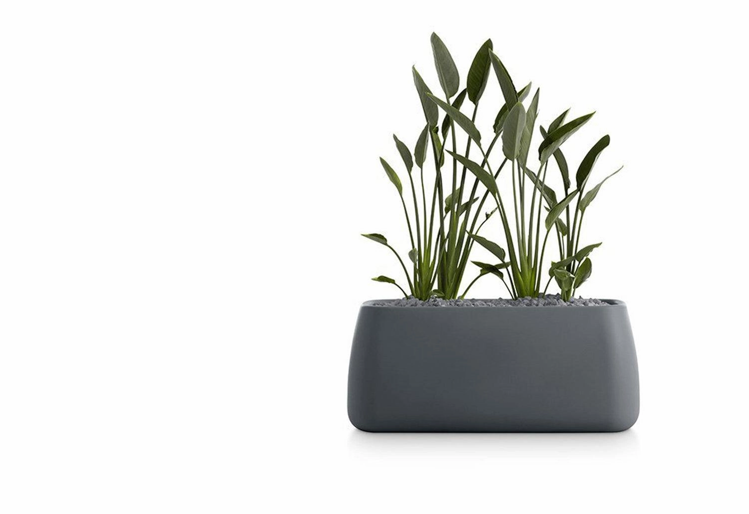 Gobi Planter